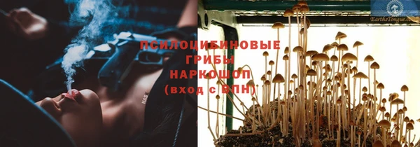 гашик Новокубанск