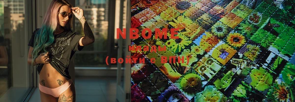 гашик Новокубанск