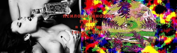 прущая мука Новодвинск