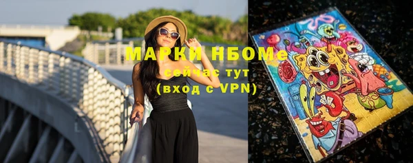 гашик Новокубанск