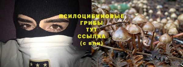 кристаллы Новозыбков