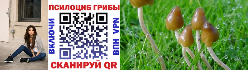 Псилоцибиновые грибы GOLDEN TEACHER  Купить  Ульяновск 